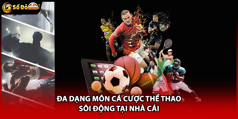Đa dạng môn cá cược thể thao sôi động tại nhà cái