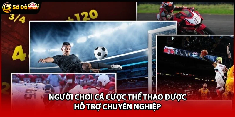 Người chơi cá cược thể thao được hỗ trợ chuyên nghiệp