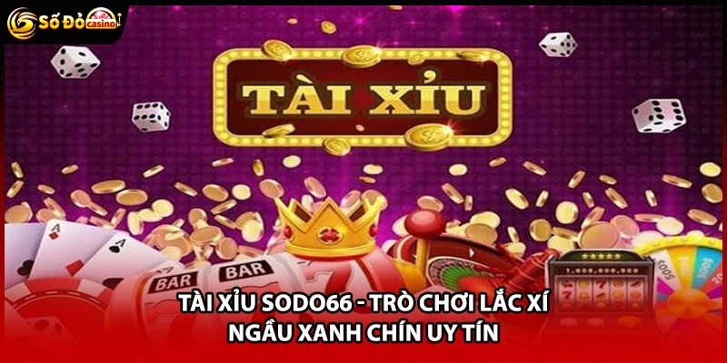 Tài Xỉu Sodo66 - Trò Chơi Lắc Xí Ngầu Xanh Chín Uy Tín